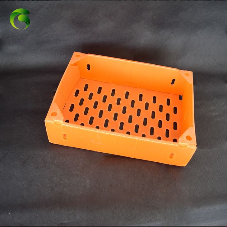 Corflute Shrimp Packing Box